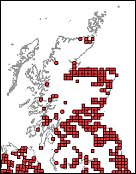 giant_hogweed_distribution