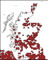 himalayan_balsam_distribution